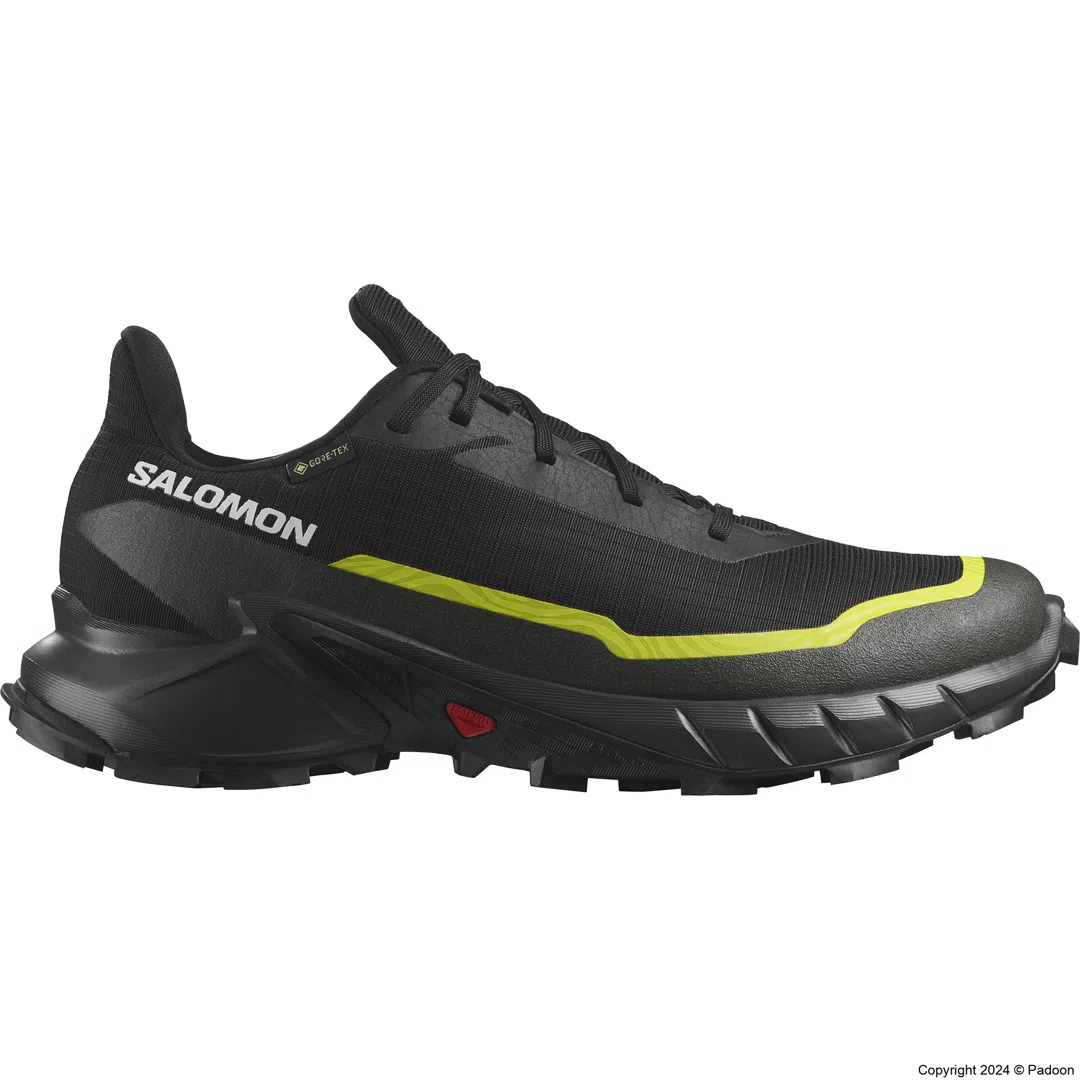 کفش سالومون ALPHACROSS 5 GORE-TEX 474604
